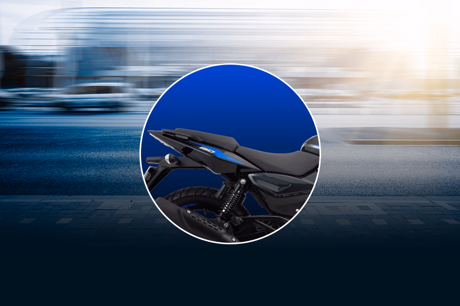 Bajaj Pulsar 150 Twin Disc
